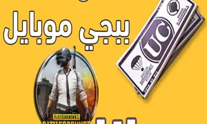 شحن شدات ببجى