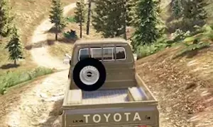 محاكى الشاص